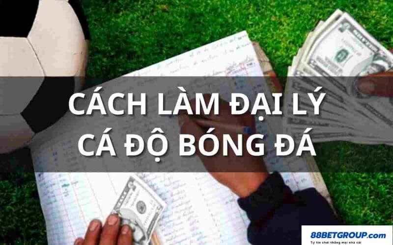 Cách làm đại lý cá độ bóng đá